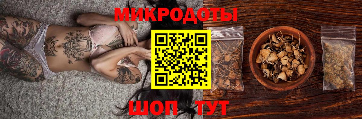 Псилоцибиновые грибы мицелий Старый Оскол